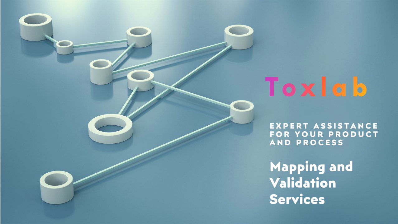 Read more about the article Product & Process Mapping and Validation Services