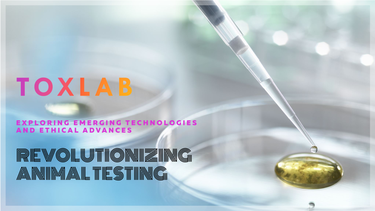 Read more about the article Alternatives to Animal Testing: Emerging Technologies and Ethical Advances
