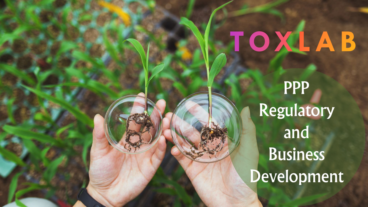 Read more about the article Regulatory and Business Development Considerations for Plant Protection Products (PPP) under the EU Framework