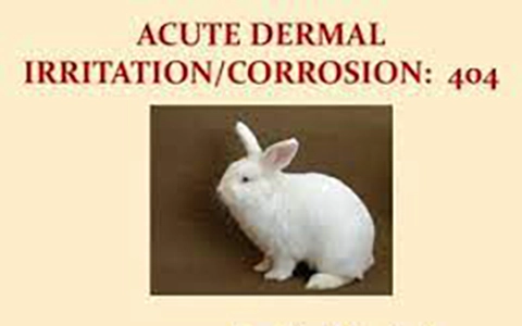 Acute Toxicity Studies - Study Design of OECD GLP TG 404 - Acute Dermal Irritation/Corrosion Study In Rabbits