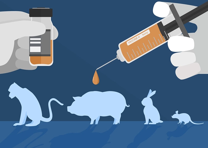Unmasking the Hidden Danger: Why Toxicological Testing Stands Guard for Medical Devices