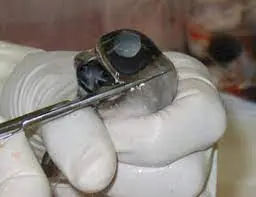 Read more about the article Study Design of In Vitro Eye Irritation [Bovine Corneal Opacity and Permeability (BCOP) Test] (OECD 437)