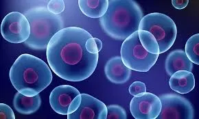Read more about the article Molecular Biological Analysis : The Microscopic Revolution in Understanding Biology