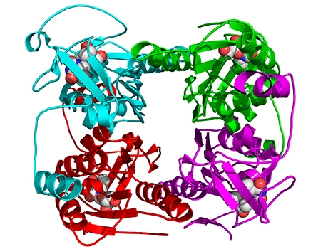 Read more about the article Genetic Toxicology Studies – Study Design of In Vitro Mammalian Cell Gene Mutation Test Using the Thymidine Kinase Gene (OECD 490)