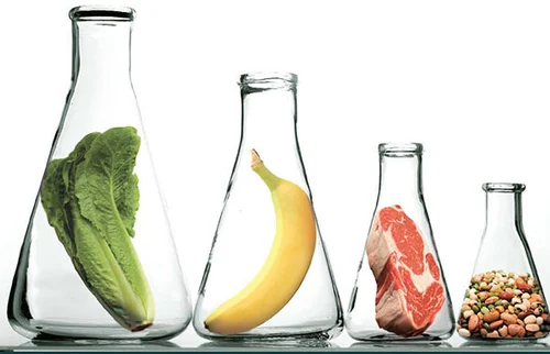 Food Testing: Ensuring Safe and Delicious Bites