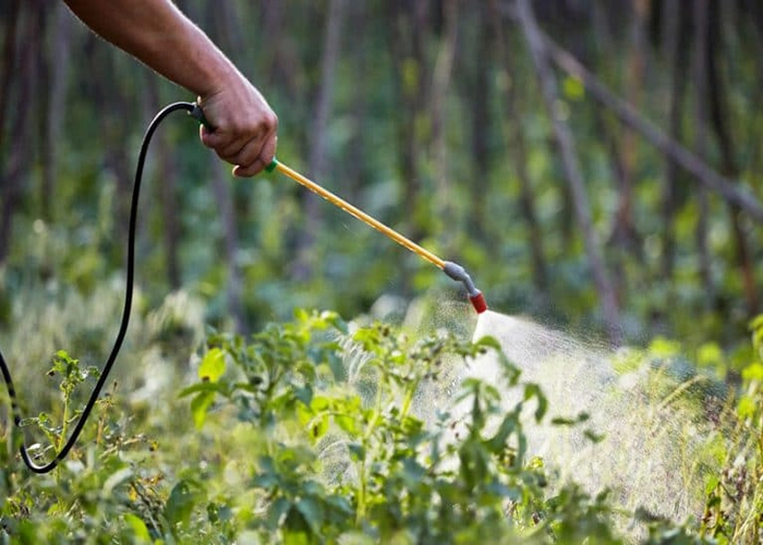 CIPAC Guidelines: Ensuring Quality and Consistency for Reliable Pesticide Analysis